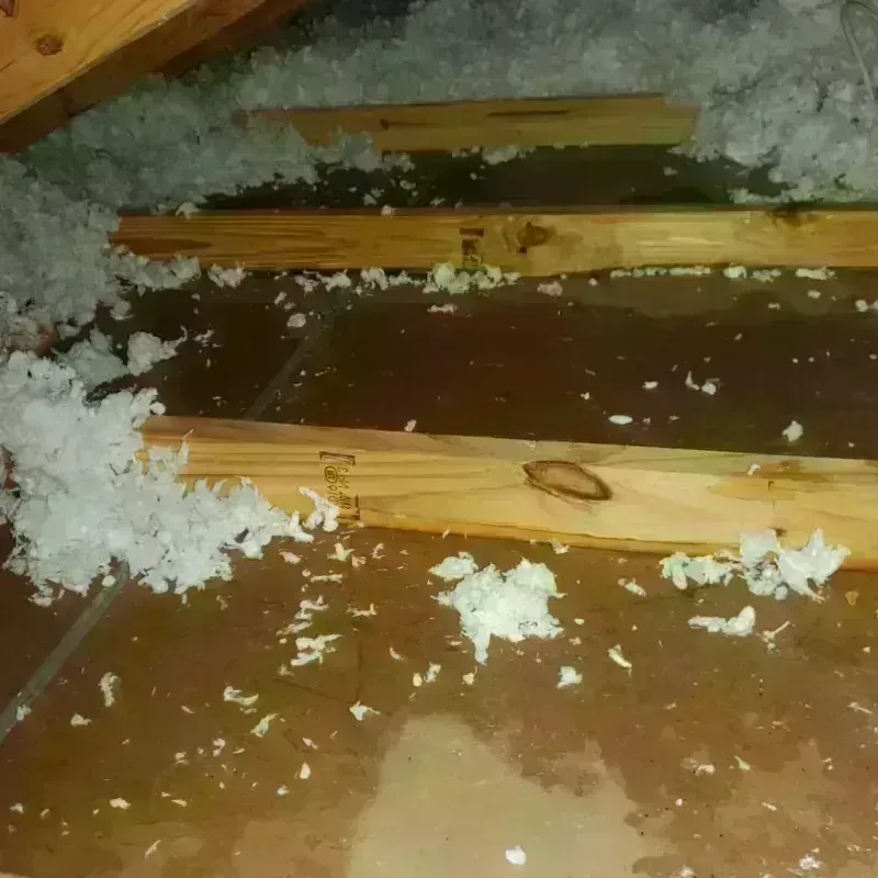 Attic Water Damage in Fremont County, IA